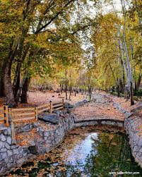 تور دو سر ریلی تهران به مشهد